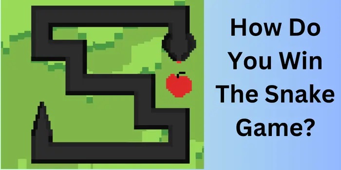 How Do You Win The Snake Game? [Play Snake Game]